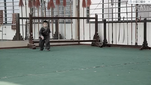 功夫小子