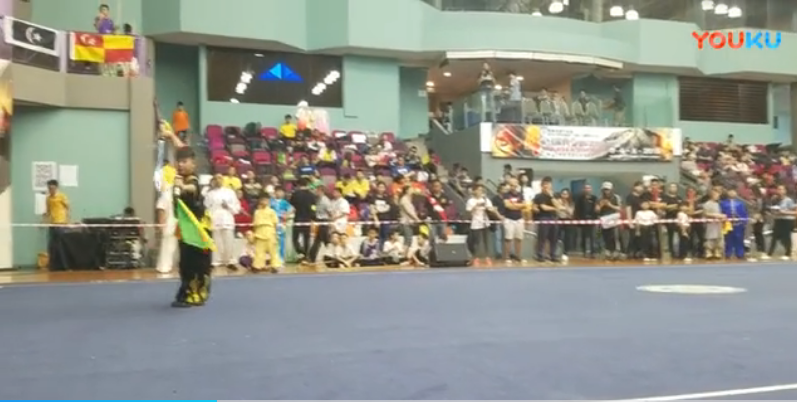 亳州飞龙武道2018马来西亚比赛李世龙双刀