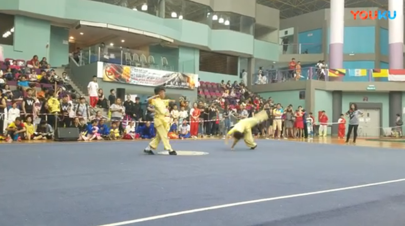 亳州飞龙武道2018马来西亚比赛张子川、张浩对练