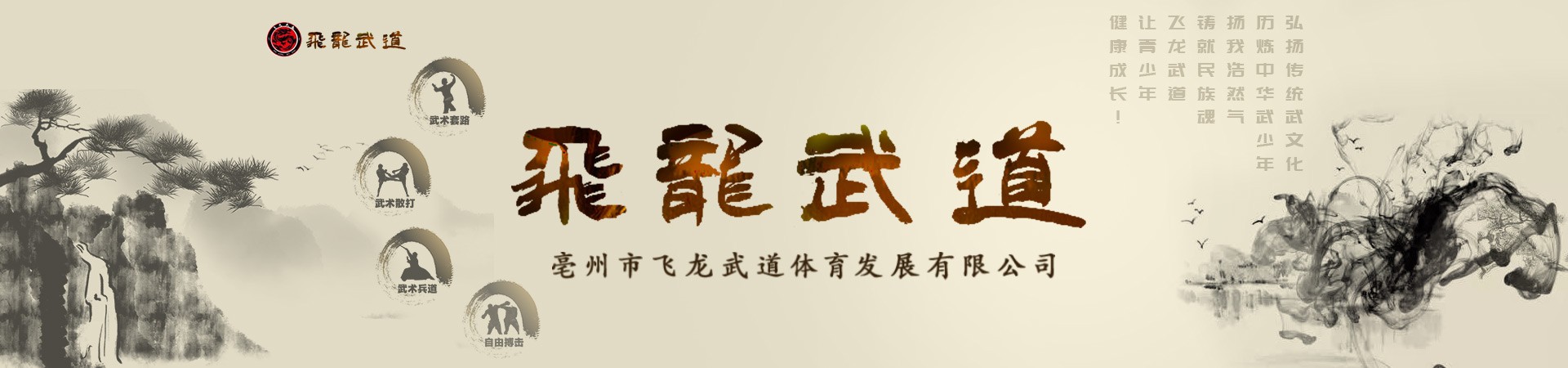 亳州市飞龙武道体育发展有限公司